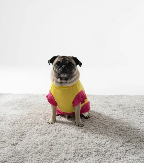 Shirt YELLOW - Imagen 8