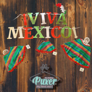 Zarape Verde “Fiestas Patrias” mascotas